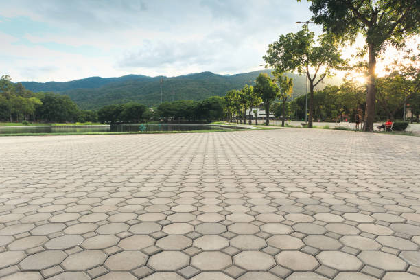 Best Local Driveway Pavers  in Waynesboro, MS